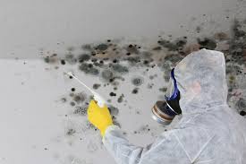 Mold Remediation for Vacation Homes in Jackson, OH